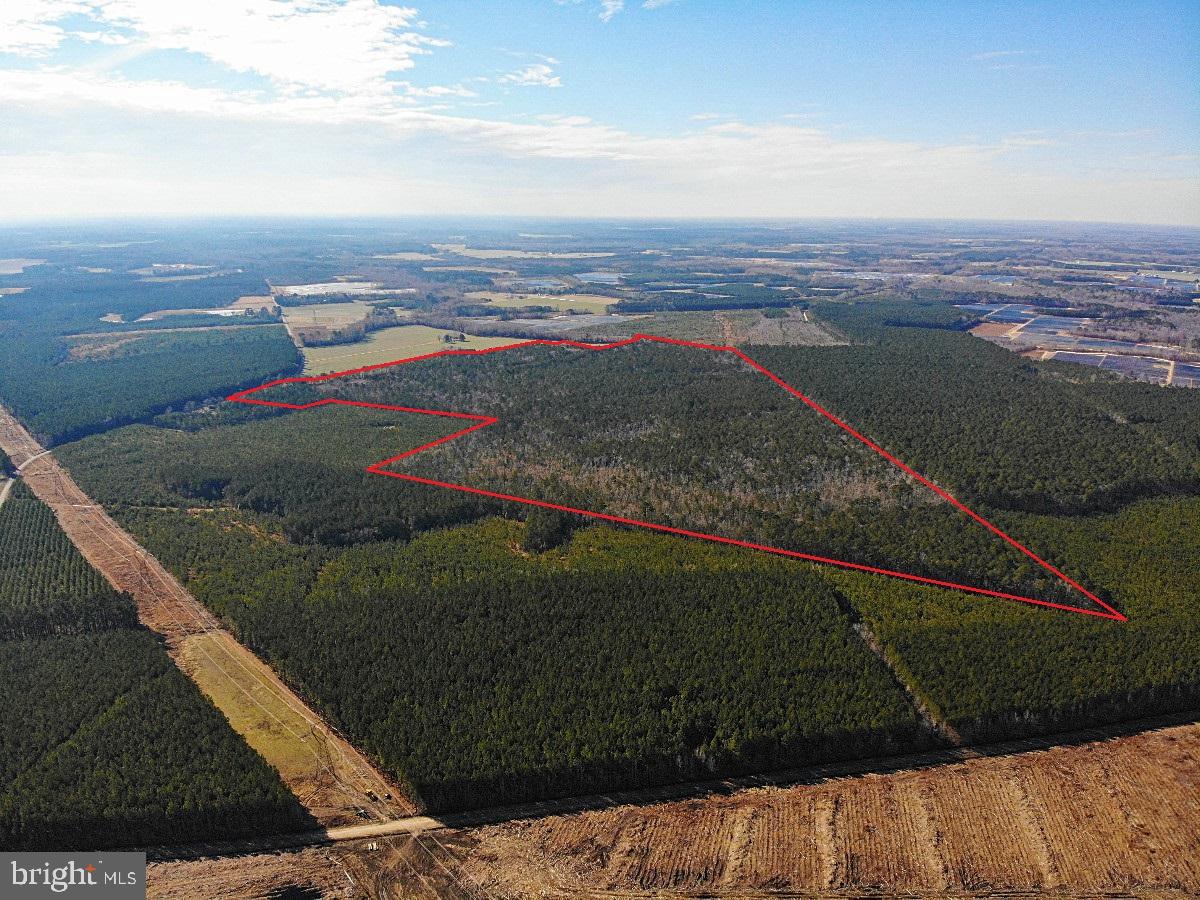 0 BURWELLS BAY RD, SMITHFIELD, Virginia 23430, ,Farm,For Sale,0 BURWELLS BAY RD,VAIW2000062 MLS # VAIW2000062