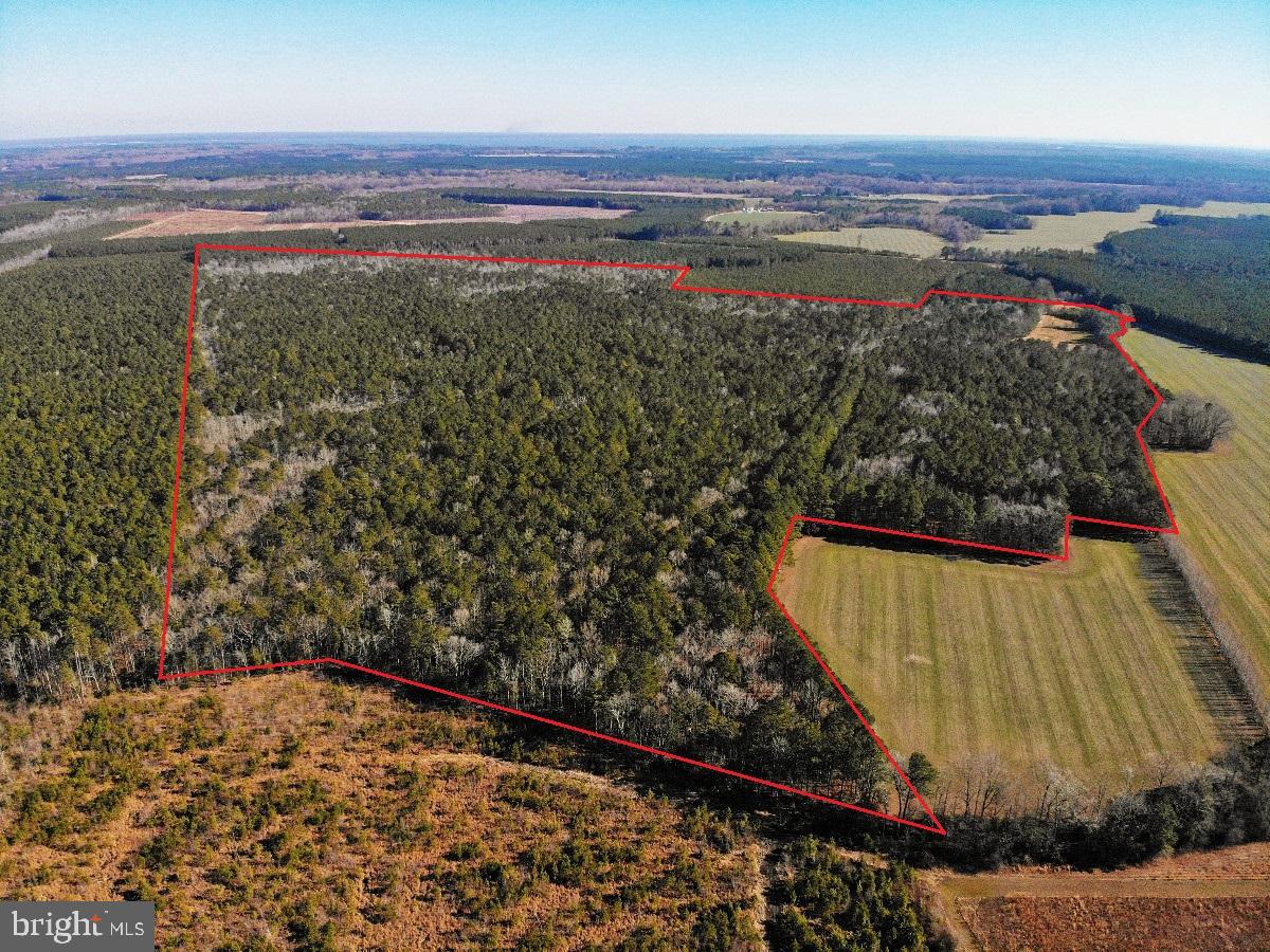 0 BURWELLS BAY RD, SMITHFIELD, Virginia 23430, ,Farm,For Sale,0 BURWELLS BAY RD,VAIW2000062 MLS # VAIW2000062