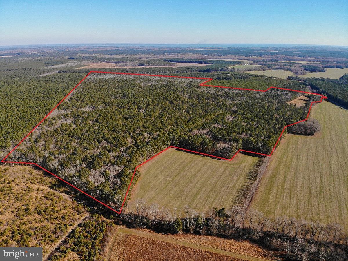 0 BURWELLS BAY RD, SMITHFIELD, Virginia 23430, ,Farm,For Sale,0 BURWELLS BAY RD,VAIW2000062 MLS # VAIW2000062