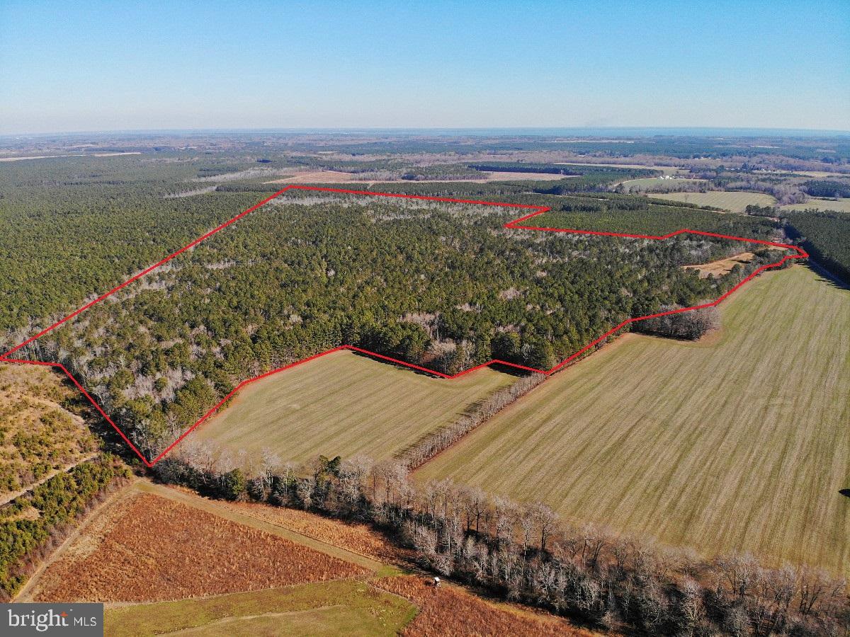 0 BURWELLS BAY RD, SMITHFIELD, Virginia 23430, ,Farm,For Sale,0 BURWELLS BAY RD,VAIW2000062 MLS # VAIW2000062