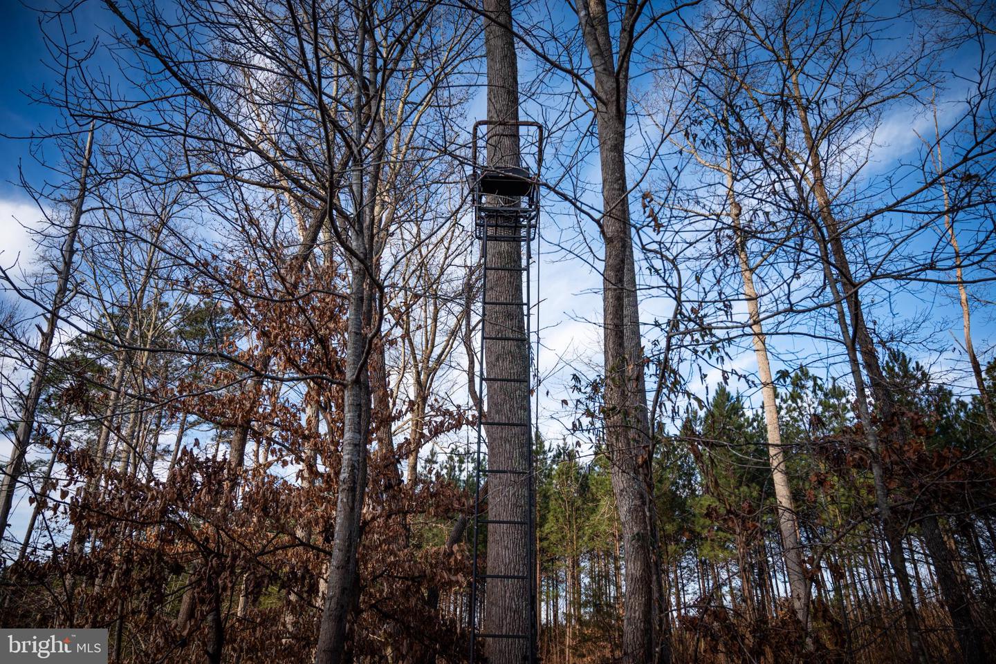 1052 S HILL RD, BRODNAX, Virginia 23920, 3 Bedrooms Bedrooms, 5 Rooms Rooms,2 BathroomsBathrooms,Residential,For Sale,1052 S HILL RD,VALB2000070 MLS # VALB2000070