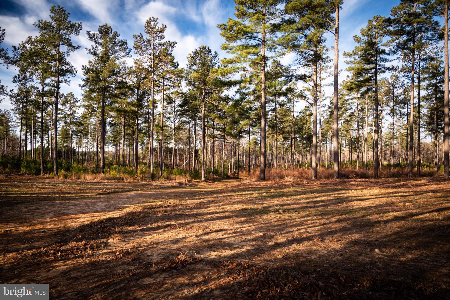 1052 S HILL RD, BRODNAX, Virginia 23920, 3 Bedrooms Bedrooms, 5 Rooms Rooms,2 BathroomsBathrooms,Residential,For Sale,1052 S HILL RD,VALB2000070 MLS # VALB2000070