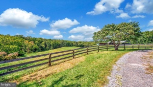 1306 HAWKINS LN KING GEORGE Virginia 22485