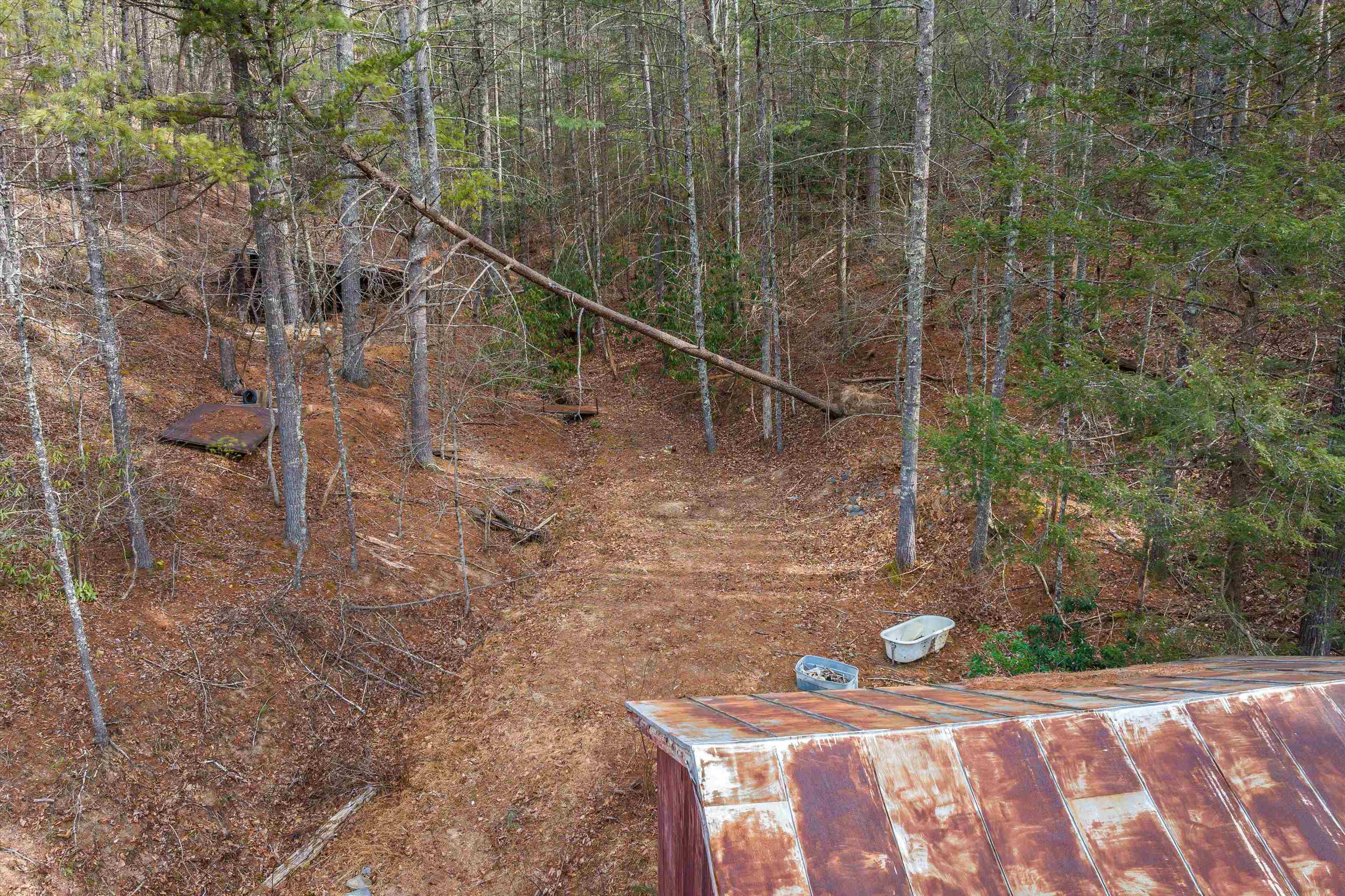 595 DEERFIELD VALLEY RD, WEST AUGUSTA, Virginia 24485, ,Farm,14,595 DEERFIELD VALLEY RD,672787 MLS # 672787