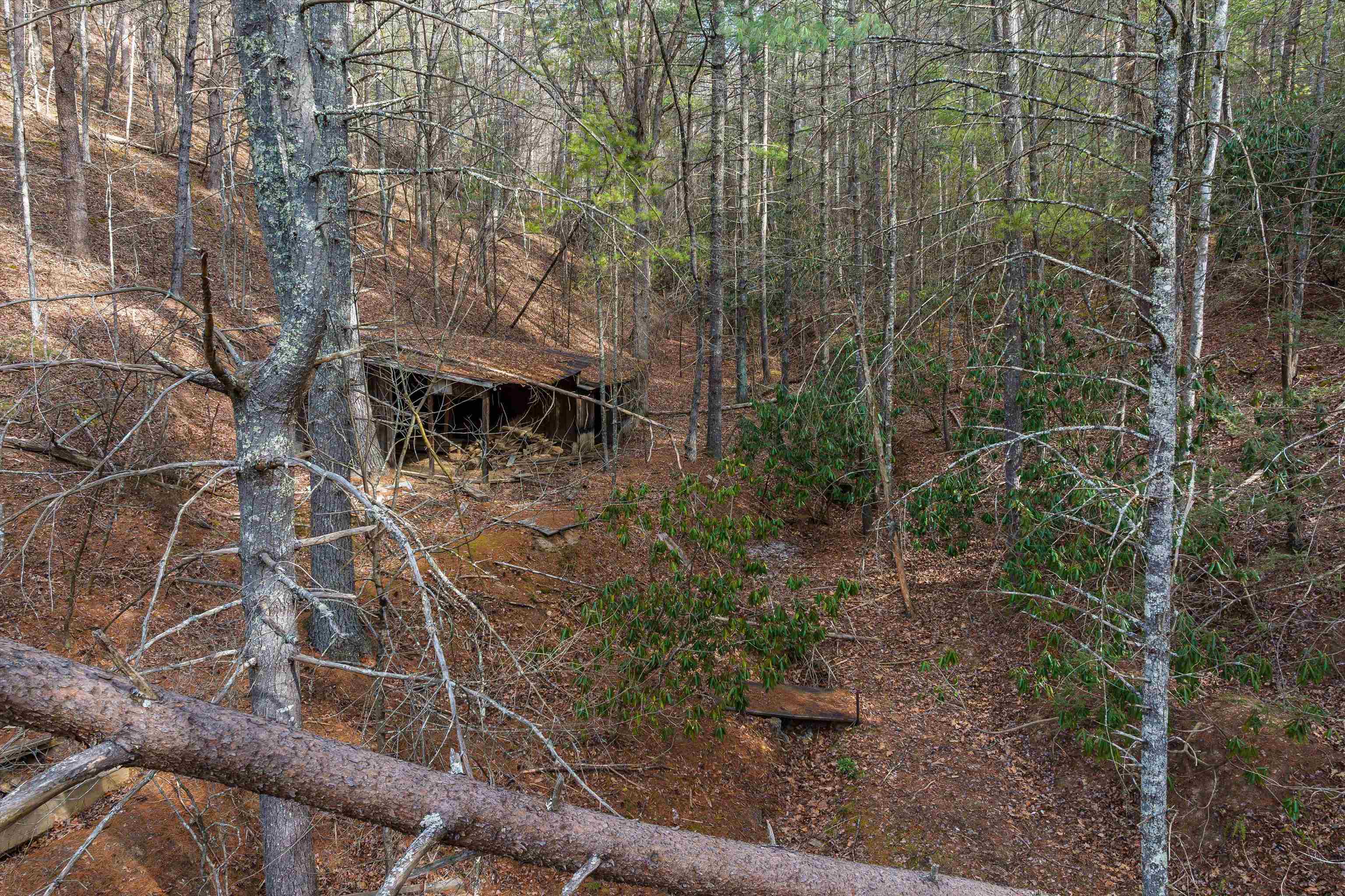 595 DEERFIELD VALLEY RD, WEST AUGUSTA, Virginia 24485, ,Farm,14,595 DEERFIELD VALLEY RD,672787 MLS # 672787