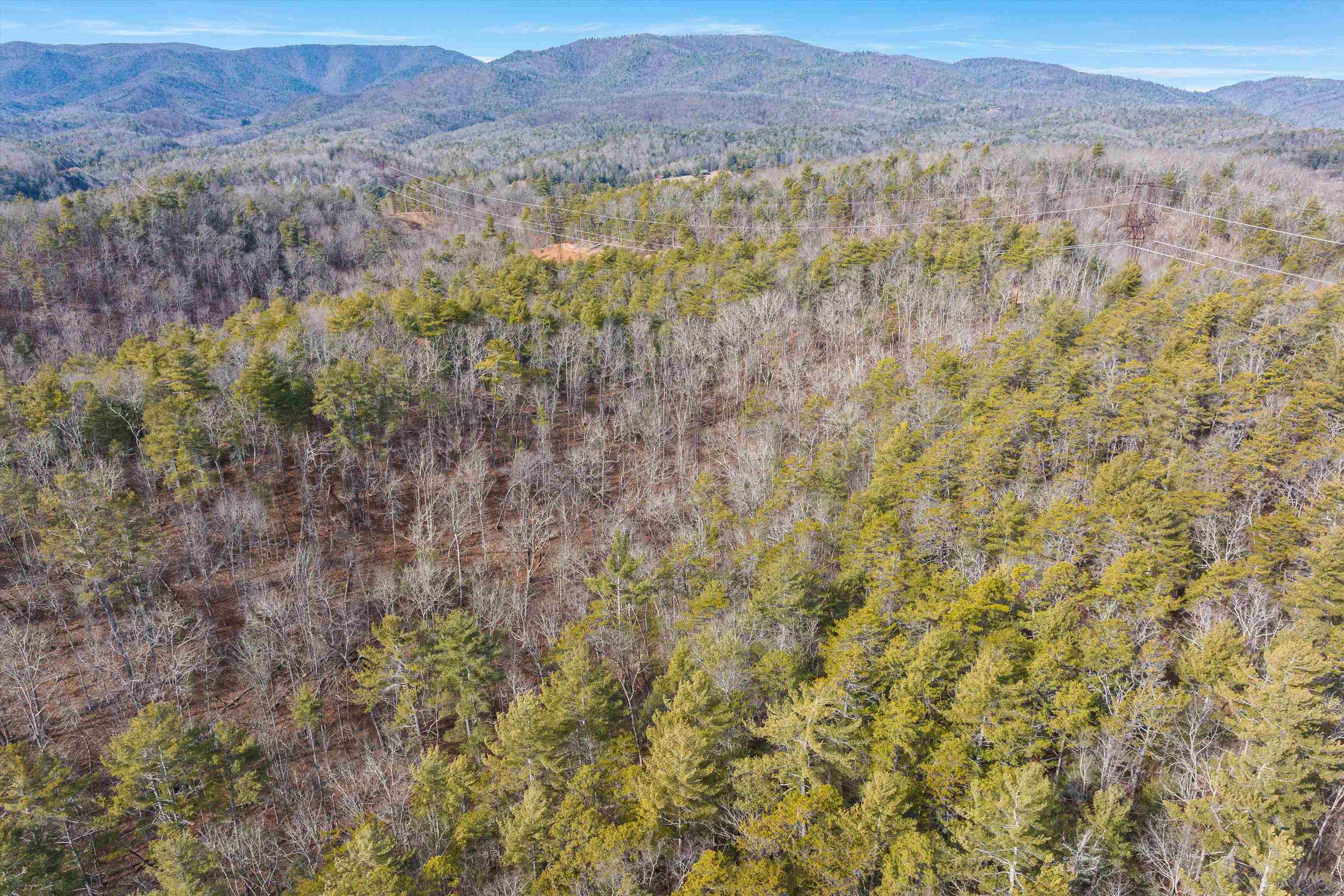 595 DEERFIELD VALLEY RD, WEST AUGUSTA, Virginia 24485, 3 Bedrooms Bedrooms, ,Residential,14,595 DEERFIELD VALLEY RD,672788 MLS # 672788