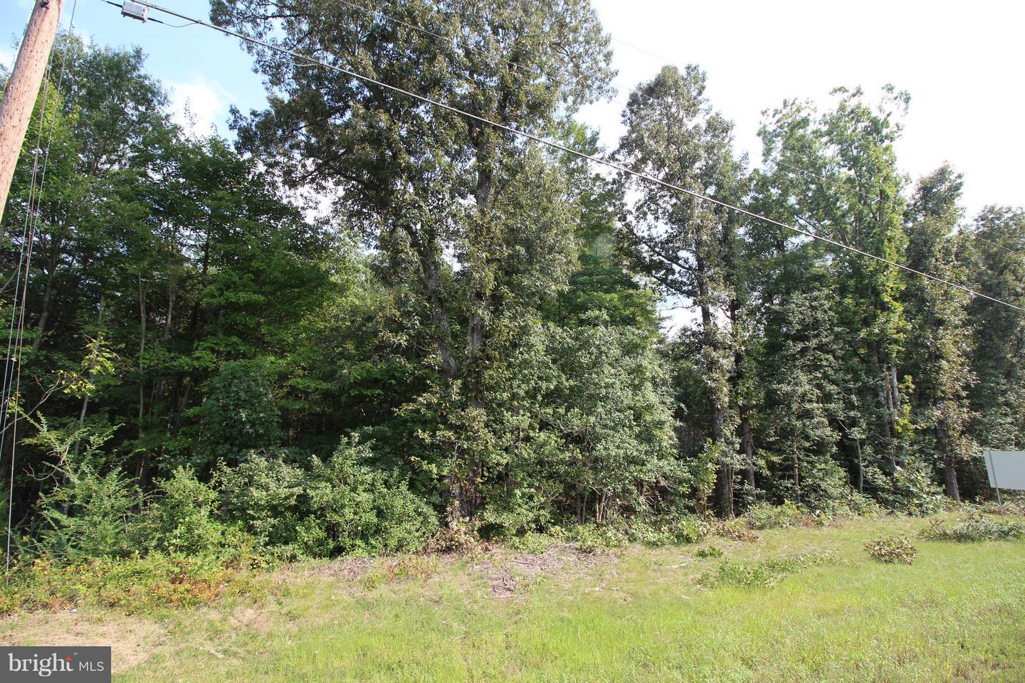 JAMES MADISON PKWY, KING GEORGE, Virginia 22485, ,Land,For Sale,JAMES MADISON PKWY,VAKG2007538 MLS # VAKG2007538