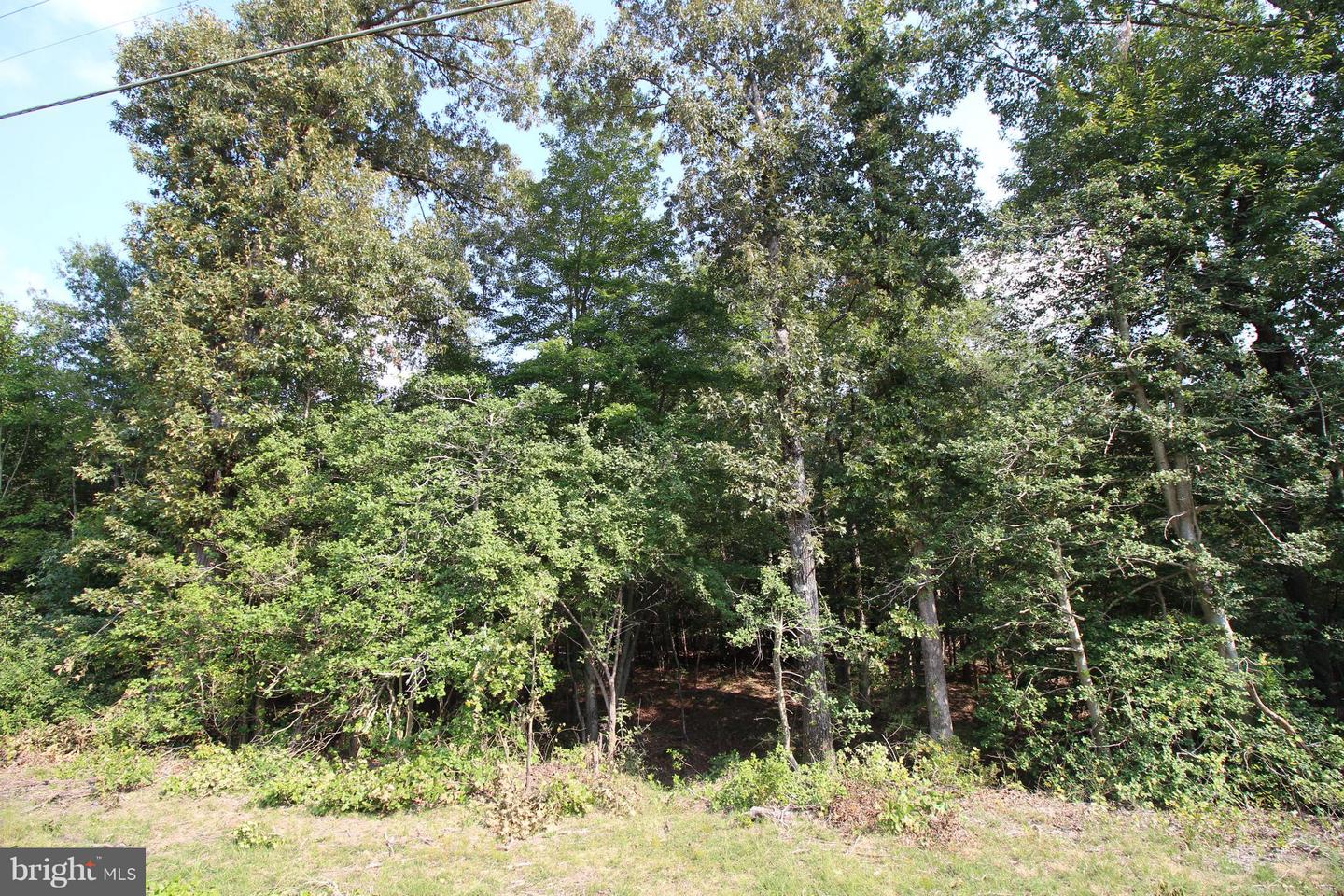 JAMES MADISON PKWY, KING GEORGE, Virginia 22485, ,Land,For Sale,JAMES MADISON PKWY,VAKG2007538 MLS # VAKG2007538