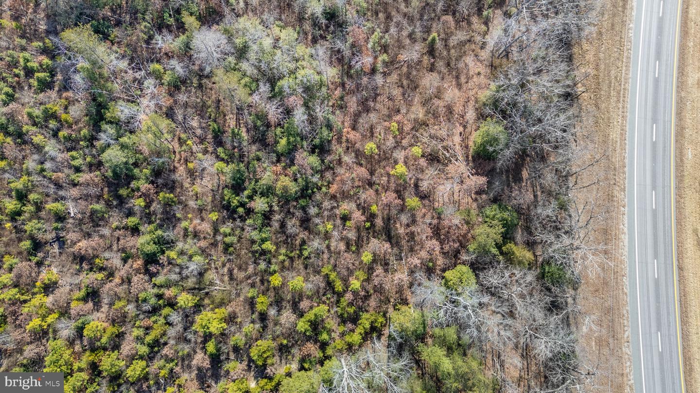 JAMES MADISON PKWY, KING GEORGE, Virginia 22485, ,Land,For Sale,JAMES MADISON PKWY,VAKG2007538 MLS # VAKG2007538