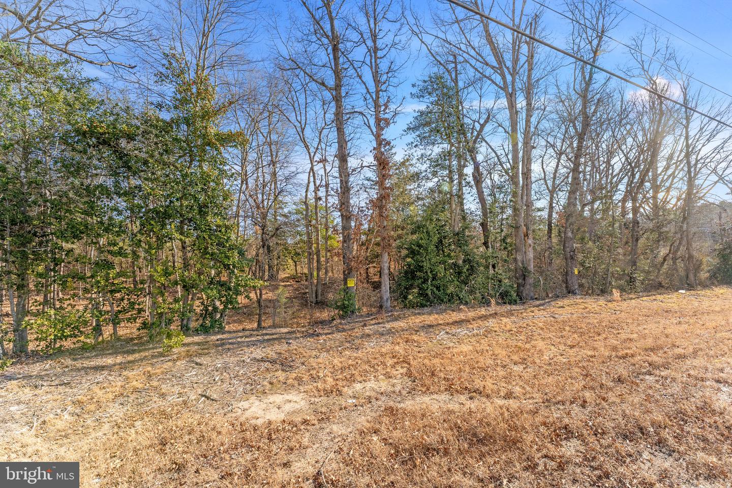 JAMES MADISON PKWY, KING GEORGE, Virginia 22485, ,Land,For Sale,JAMES MADISON PKWY,VAKG2007538 MLS # VAKG2007538