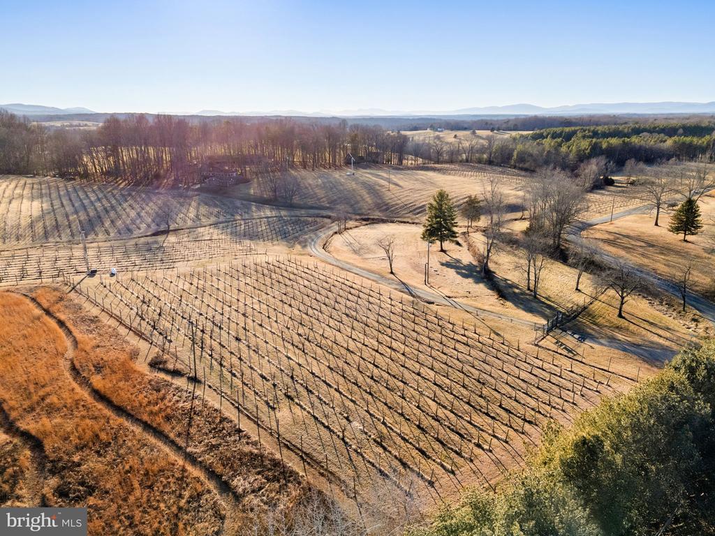 4500 WINERY LN, BARBOURSVILLE, Virginia 22923, 3 Bedrooms Bedrooms, ,3 BathroomsBathrooms,Residential,14,4500 WINERY LN,VAAB2001152 MLS # VAAB2001152