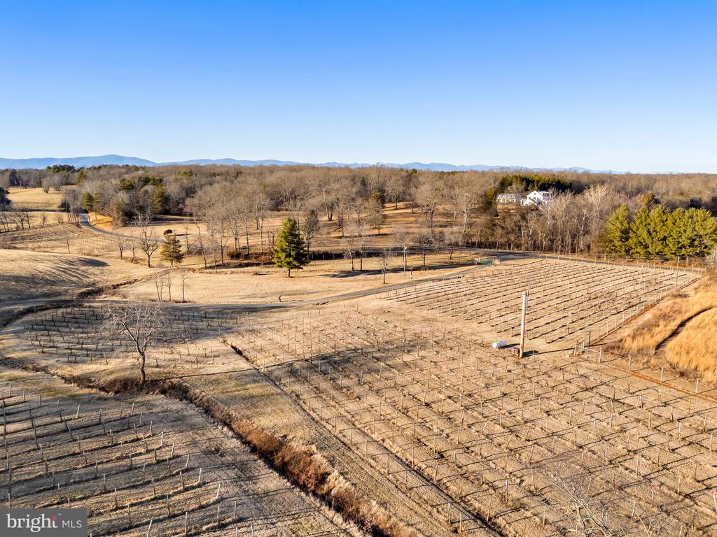 4500 WINERY LN, BARBOURSVILLE, Virginia 22923, 3 Bedrooms Bedrooms, ,3 BathroomsBathrooms,Residential,14,4500 WINERY LN,VAAB2001152 MLS # VAAB2001152