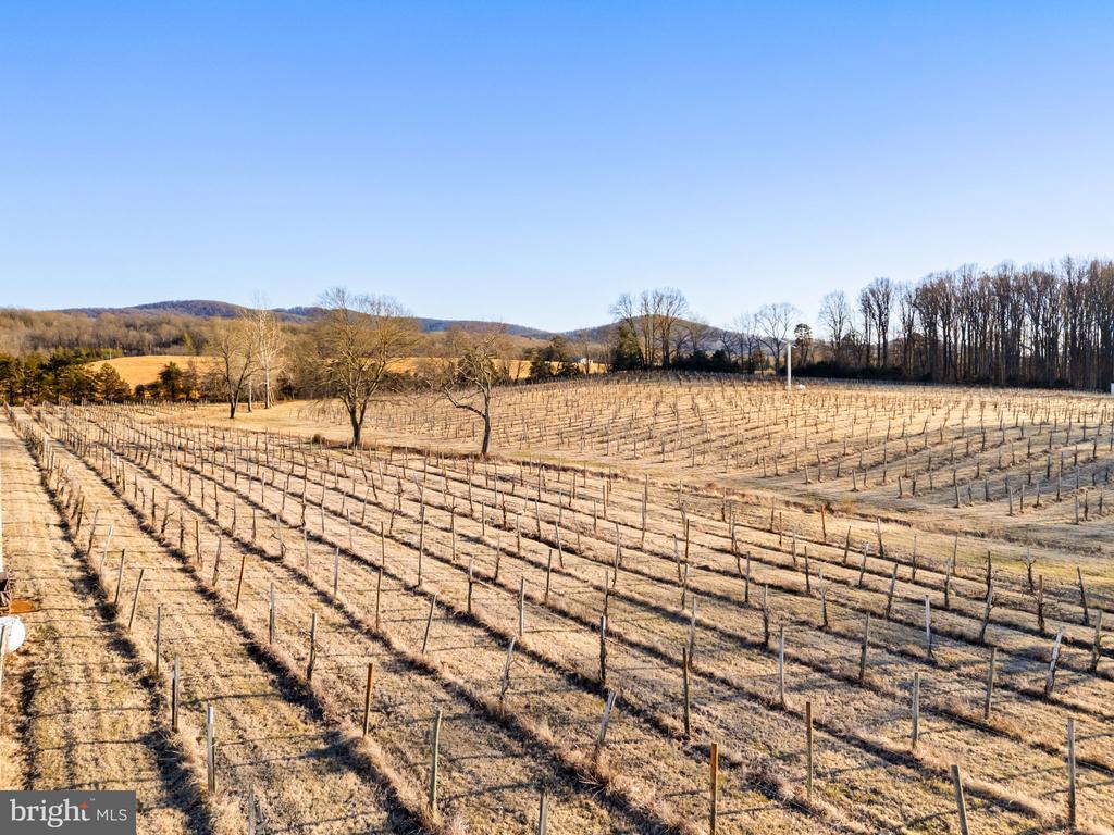 4500 WINERY LN, BARBOURSVILLE, Virginia 22923, 3 Bedrooms Bedrooms, ,3 BathroomsBathrooms,Residential,14,4500 WINERY LN,VAAB2001152 MLS # VAAB2001152