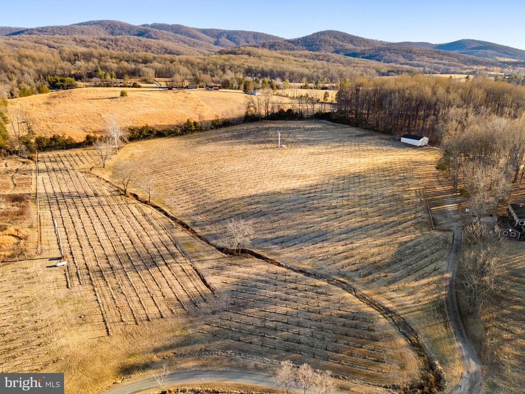 4500 WINERY LN, BARBOURSVILLE, Virginia 22923, 3 Bedrooms Bedrooms, ,3 BathroomsBathrooms,Residential,14,4500 WINERY LN,VAAB2001152 MLS # VAAB2001152