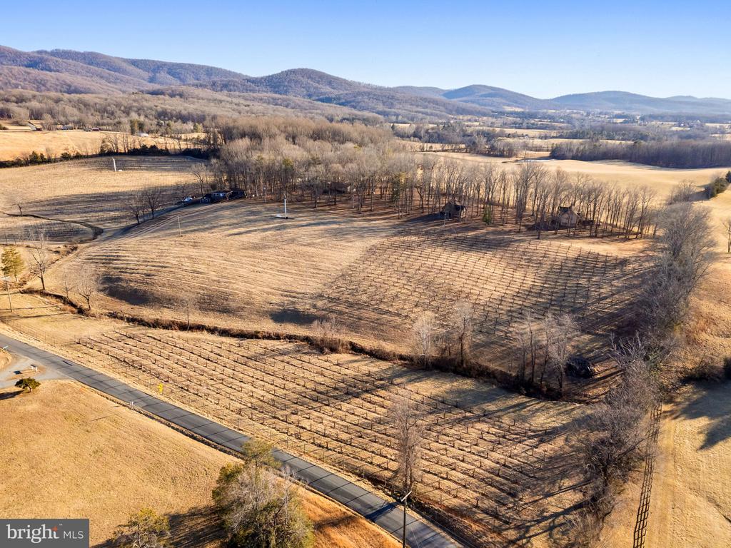 4500 WINERY LN, BARBOURSVILLE, Virginia 22923, 3 Bedrooms Bedrooms, ,3 BathroomsBathrooms,Residential,14,4500 WINERY LN,VAAB2001152 MLS # VAAB2001152