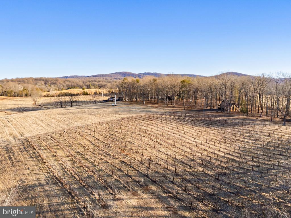 4500 WINERY LN, BARBOURSVILLE, Virginia 22923, 3 Bedrooms Bedrooms, ,3 BathroomsBathrooms,Residential,14,4500 WINERY LN,VAAB2001152 MLS # VAAB2001152