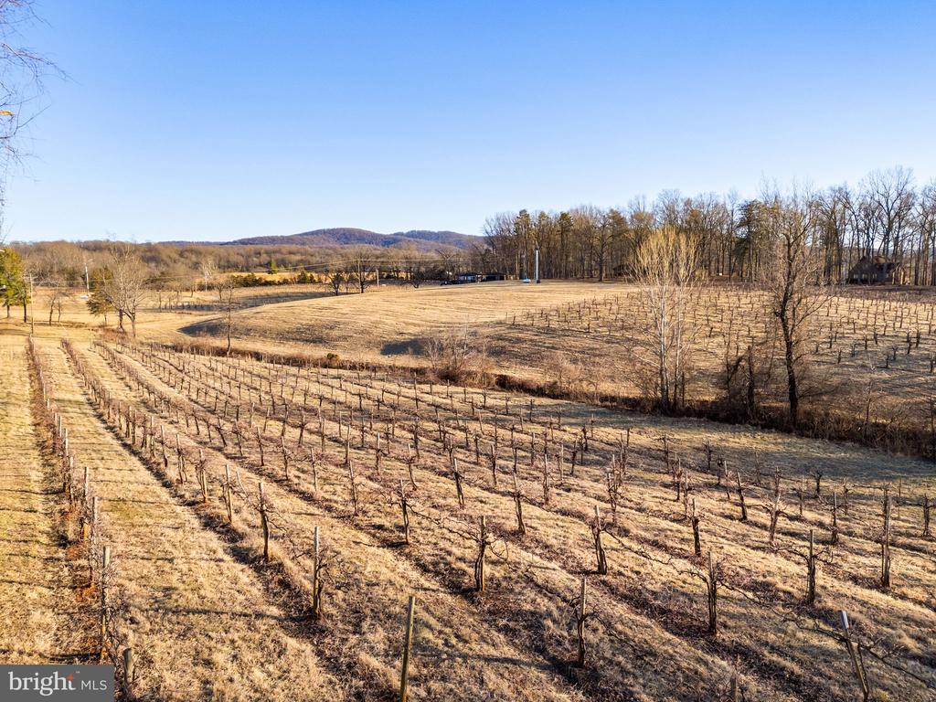 4500 WINERY LN, BARBOURSVILLE, Virginia 22923, 3 Bedrooms Bedrooms, ,3 BathroomsBathrooms,Residential,14,4500 WINERY LN,VAAB2001152 MLS # VAAB2001152