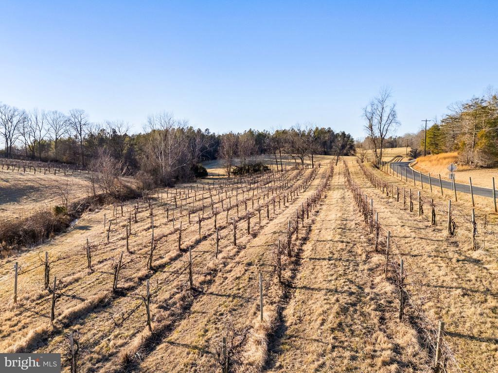 4500 WINERY LN, BARBOURSVILLE, Virginia 22923, 3 Bedrooms Bedrooms, ,3 BathroomsBathrooms,Residential,14,4500 WINERY LN,VAAB2001152 MLS # VAAB2001152