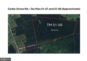 CEDAR GROVE RD, CULPEPER, Virginia 22701, ,Farm,For Sale,CEDAR GROVE RD,VACU2012552 MLS # VACU2012552 CEDAR GROVE RD, CULPEPER, Virginia 22701, ,Farm,For Sale,CEDAR GROVE RD,VACU2012552 MLS # VACU2012552