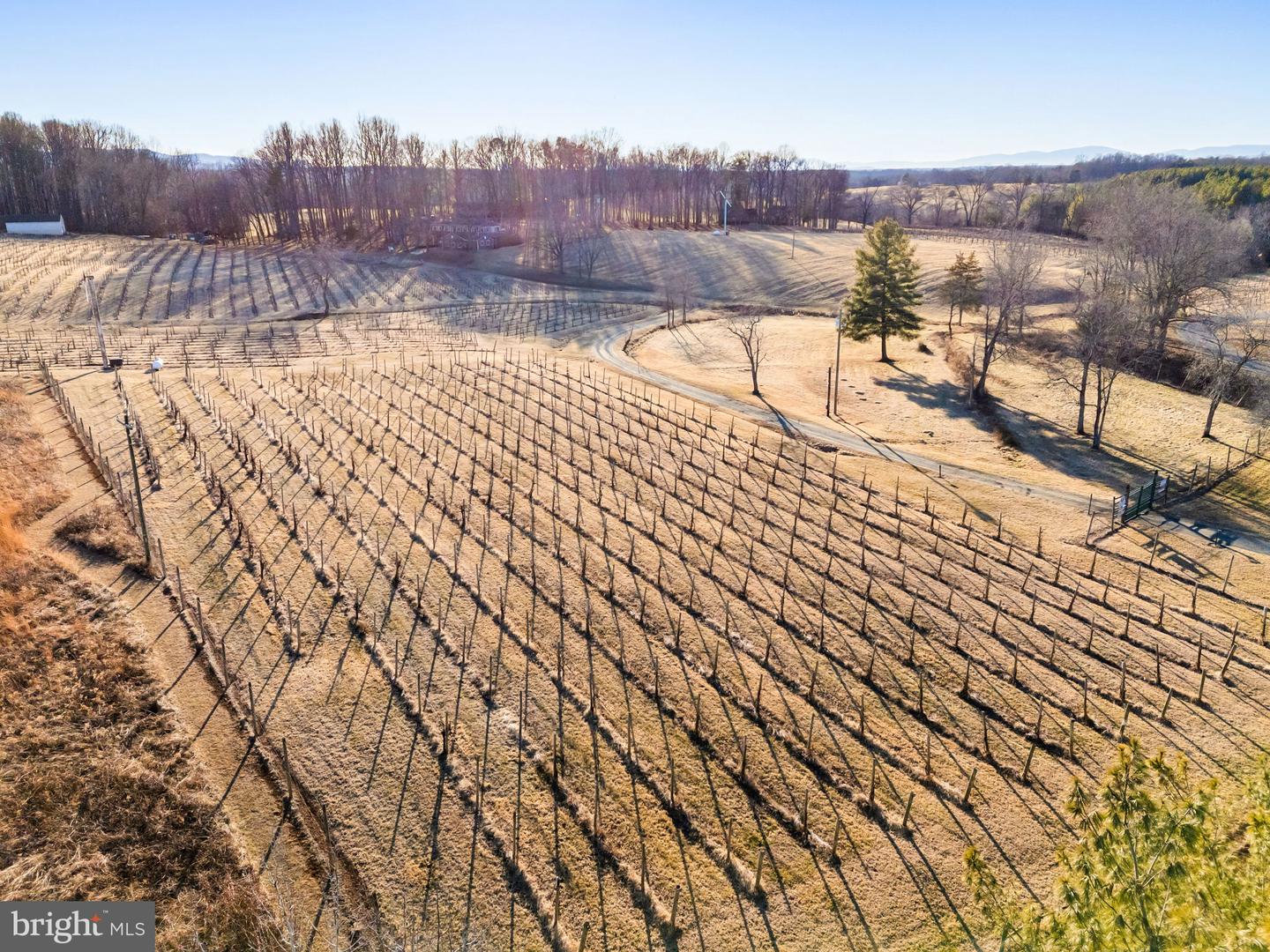 4500 WINERY LN, BARBOURSVILLE, Virginia 22923, 3 Bedrooms Bedrooms, ,3 BathroomsBathrooms,Residential,For Sale,4500 WINERY LN,VAAB2001152 MLS # VAAB2001152