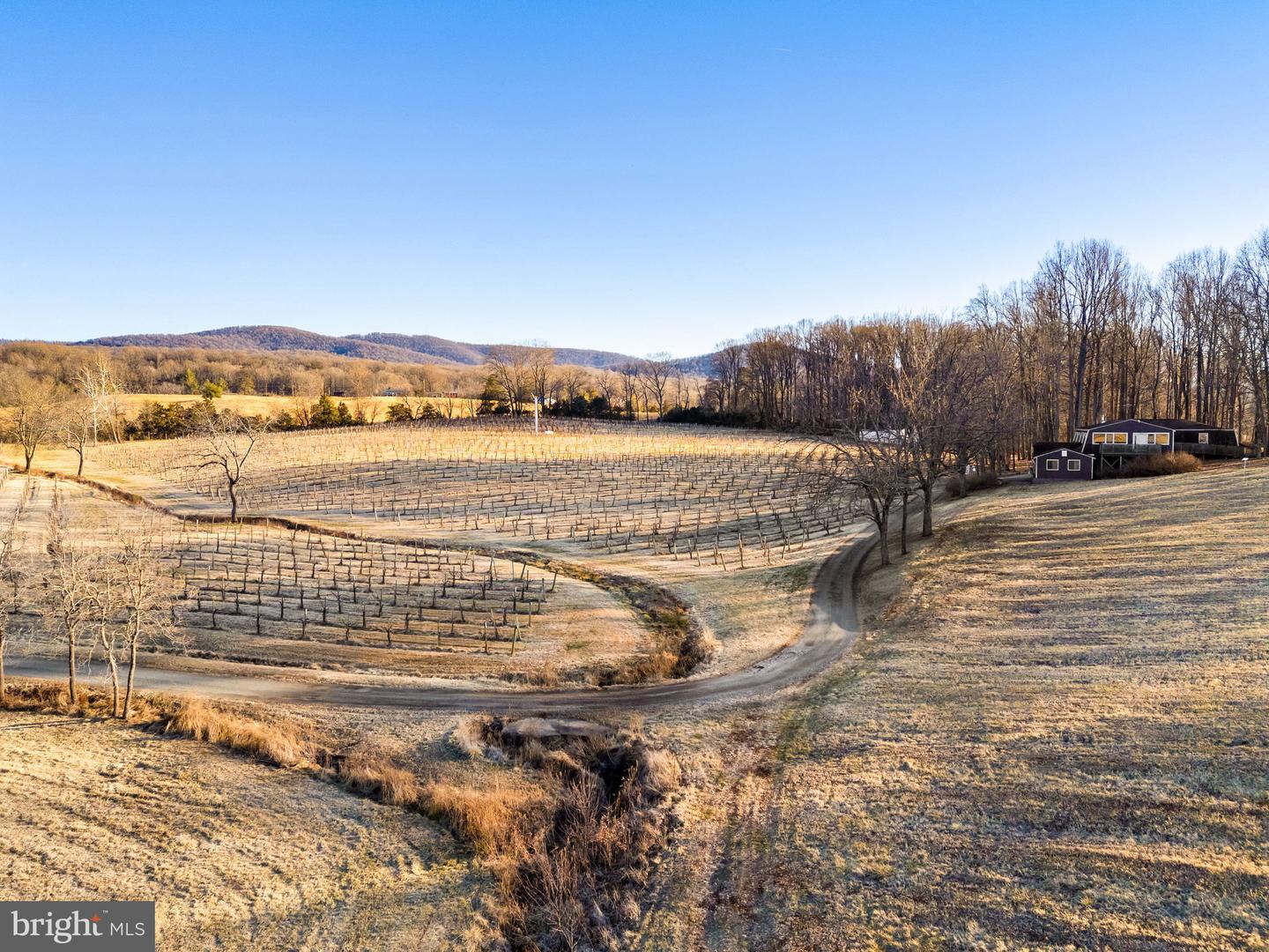 4500 WINERY LN, BARBOURSVILLE, Virginia 22923, 3 Bedrooms Bedrooms, ,3 BathroomsBathrooms,Residential,For Sale,4500 WINERY LN,VAAB2001152 MLS # VAAB2001152