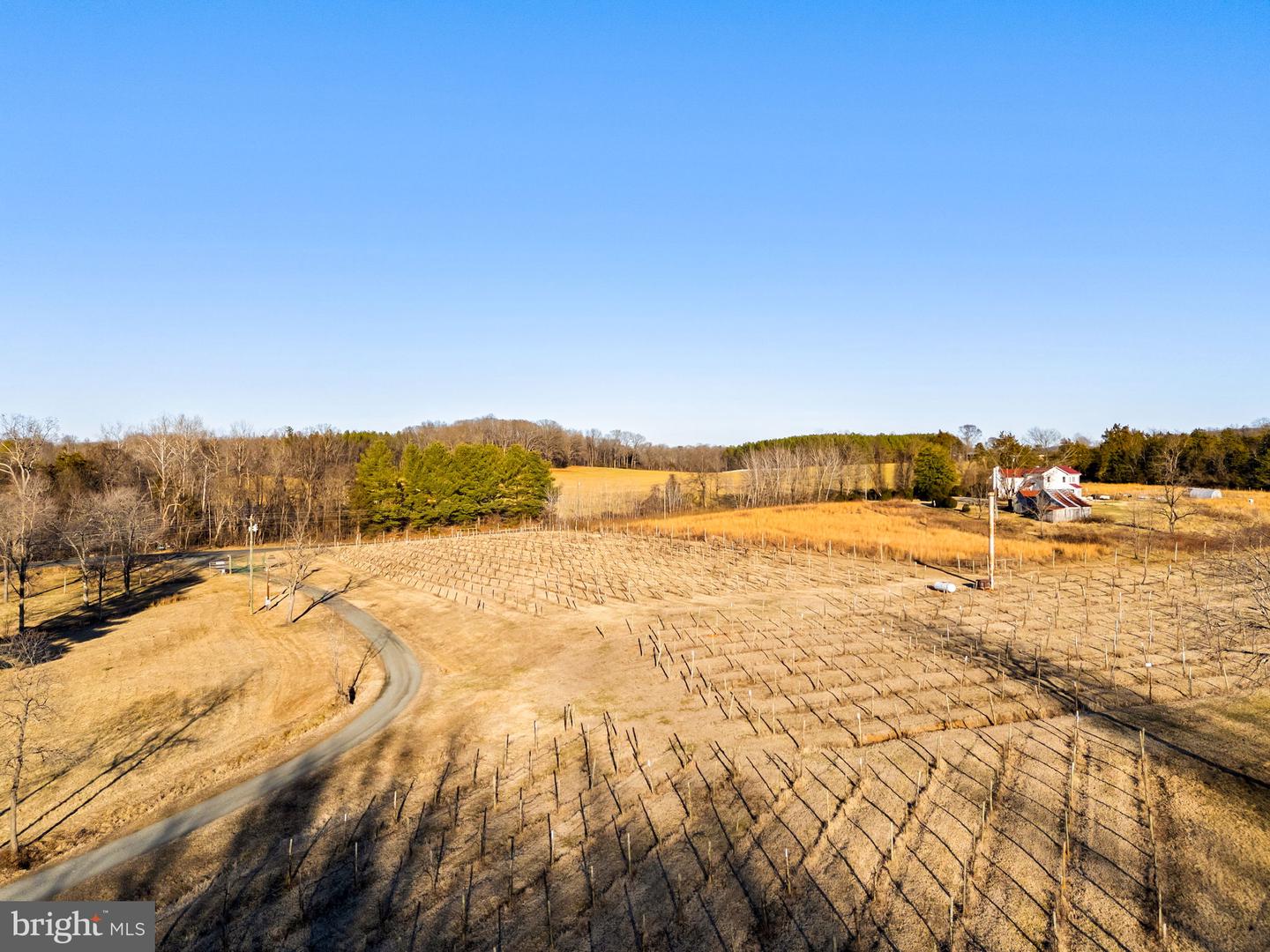 4500 WINERY LN, BARBOURSVILLE, Virginia 22923, 3 Bedrooms Bedrooms, ,3 BathroomsBathrooms,Residential,For Sale,4500 WINERY LN,VAAB2001152 MLS # VAAB2001152