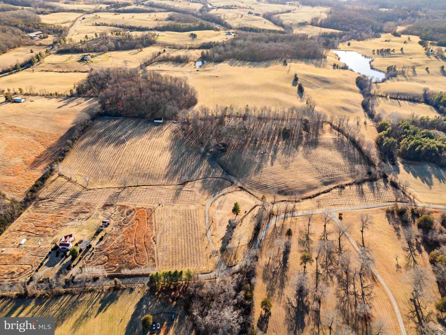 4500 WINERY LN, BARBOURSVILLE, Virginia 22923, 3 Bedrooms Bedrooms, ,3 BathroomsBathrooms,Residential,For Sale,4500 WINERY LN,VAAB2001152 MLS # VAAB2001152