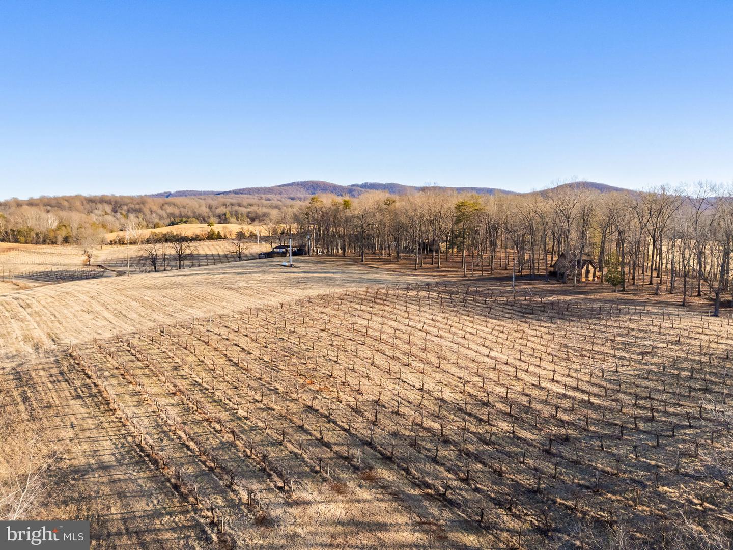 4500 WINERY LN, BARBOURSVILLE, Virginia 22923, 3 Bedrooms Bedrooms, ,3 BathroomsBathrooms,Residential,For Sale,4500 WINERY LN,VAAB2001152 MLS # VAAB2001152