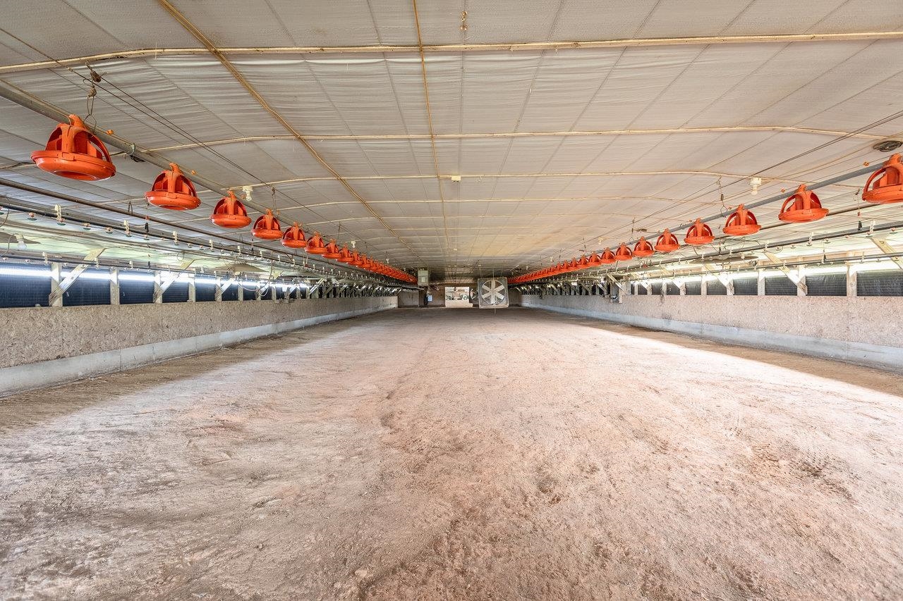 5928 KRATZER RD, LINVILLE, Virginia 22834, ,Residential,14,5928 KRATZER RD,664034 MLS # 664034 5928 KRATZER RD, LINVILLE, Virginia 22834, ,Residential,14,5928 KRATZER RD,664034 MLS # 664034