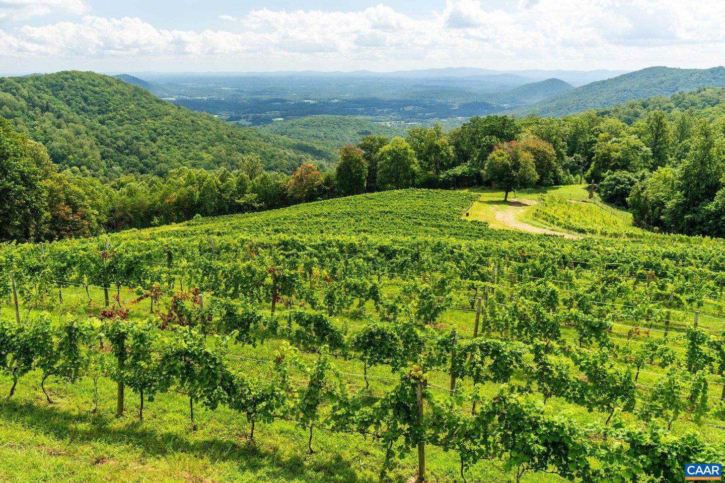 1376A WYATT MOUNTAIN RD, DYKE, Virginia 22935, 4 Bedrooms Bedrooms, ,4 BathroomsBathrooms,Residential,For Sale,1376A WYATT MOUNTAIN RD,672865 MLS # 672865