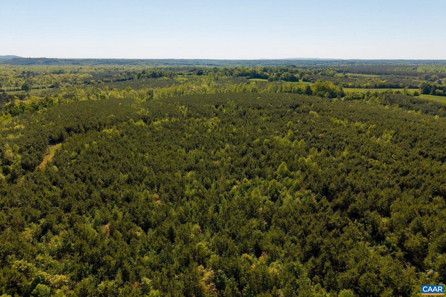 3644 HALIFAX RD, CHATHAM, Virginia 24531, ,Farm,For Sale,3644 HALIFAX RD,672875 MLS # 672875