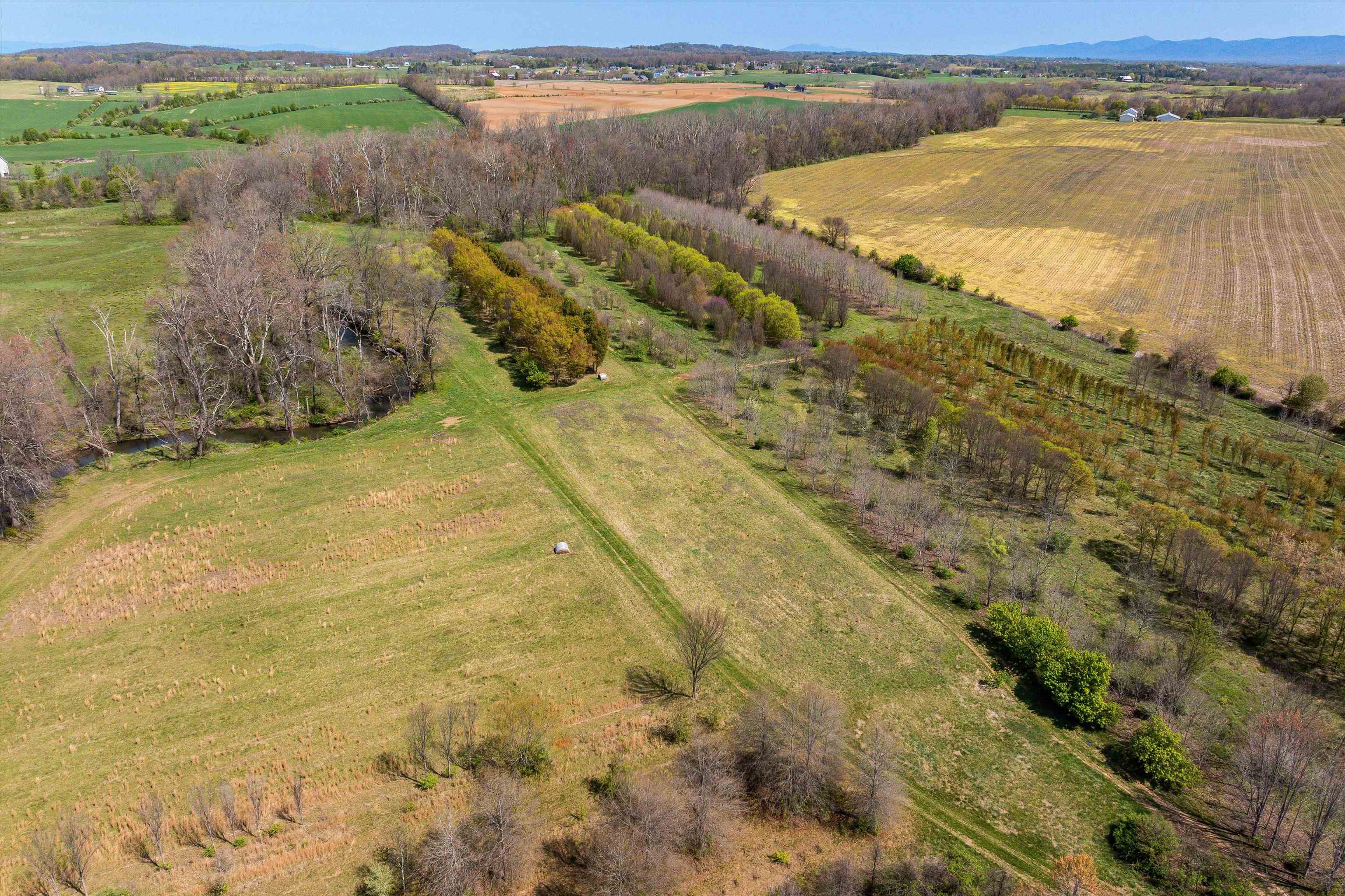 514 LIPSCOMB RD, STUARTS DRAFT, Virginia 24477, 10 Bedrooms Bedrooms, ,4 BathroomsBathrooms,Residential,14,514 LIPSCOMB RD,672921 MLS # 672921