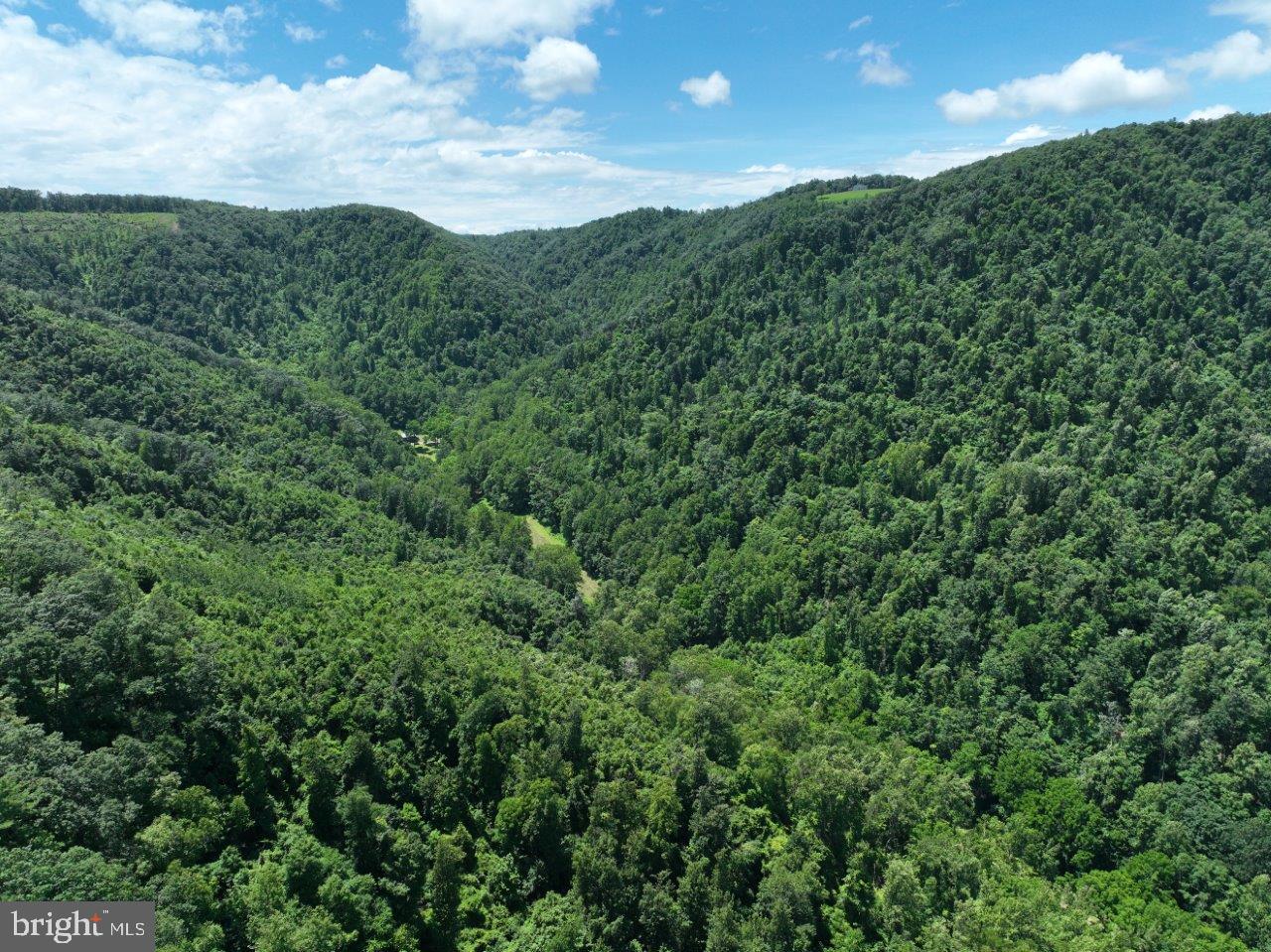 0 FOOTHILLS RD, CALLAWAY, Virginia 24067, ,Farm,For Sale,0 FOOTHILLS RD,VAFK2000102 MLS # VAFK2000102