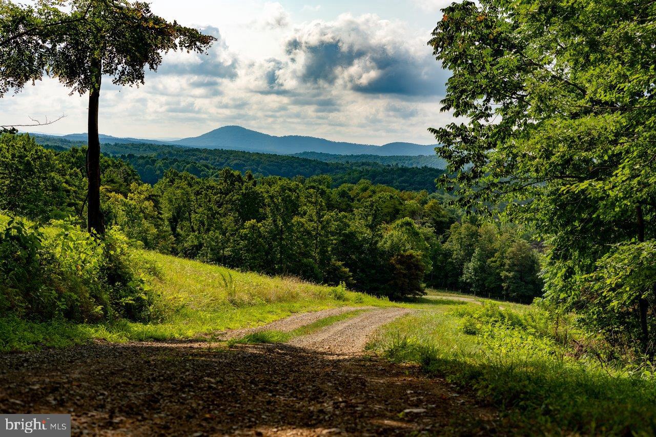 0 FOOTHILLS RD, CALLAWAY, Virginia 24067, ,Farm,For Sale,0 FOOTHILLS RD,VAFK2000102 MLS # VAFK2000102