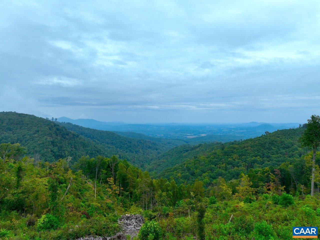 0 FOOTHILLS RD, CALLAWAY, Virginia 24067, ,Farm,For Sale,0 FOOTHILLS RD,673021 MLS # 673021