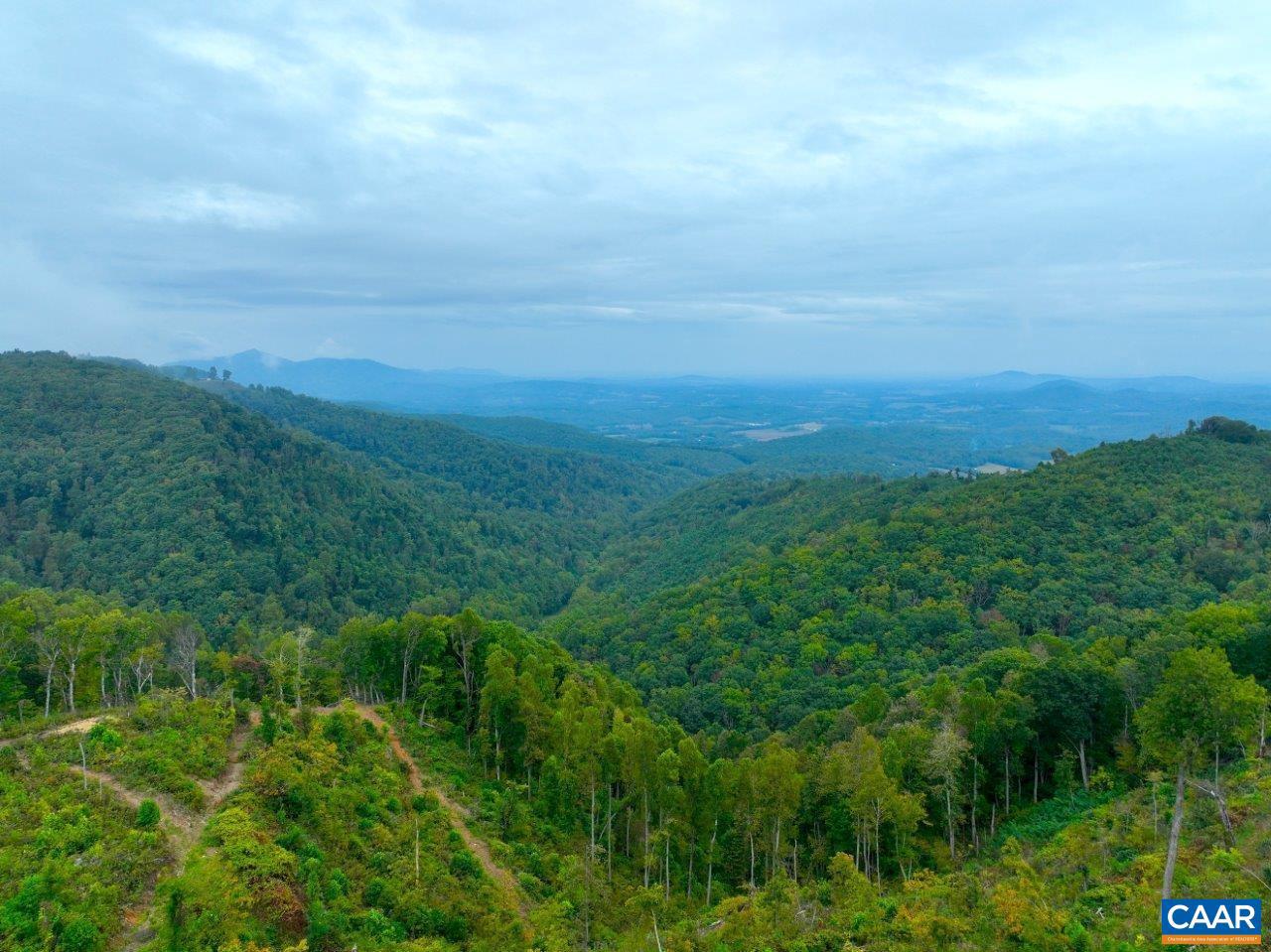 0 FOOTHILLS RD, CALLAWAY, Virginia 24067, ,Farm,For Sale,0 FOOTHILLS RD,673021 MLS # 673021