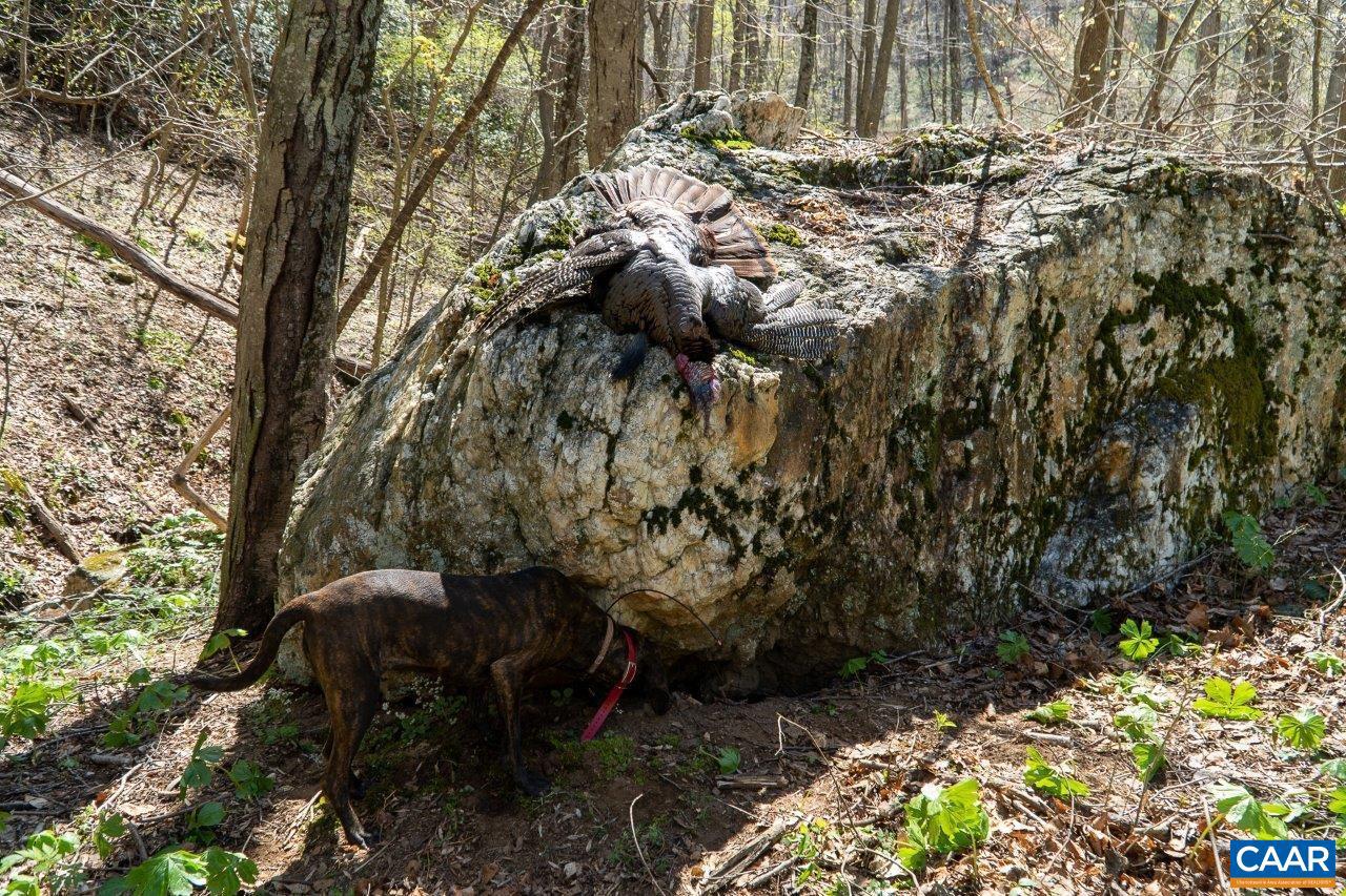 0 FOOTHILLS RD, CALLAWAY, Virginia 24067, ,Farm,For Sale,0 FOOTHILLS RD,673021 MLS # 673021