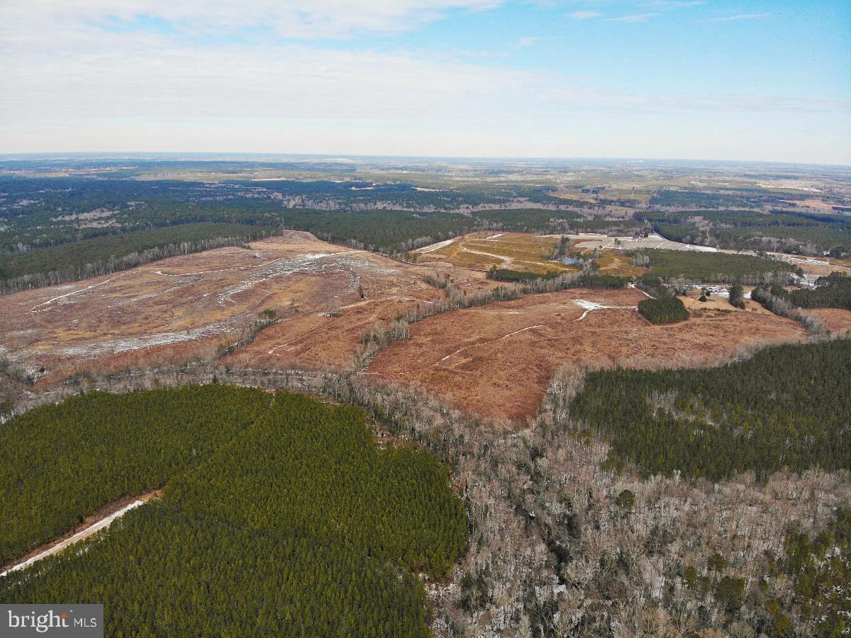 0 BENTON RD, TRIPLET, Virginia 23868, ,Farm,For Sale,0 BENTON RD,VABW2000100 MLS # VABW2000100