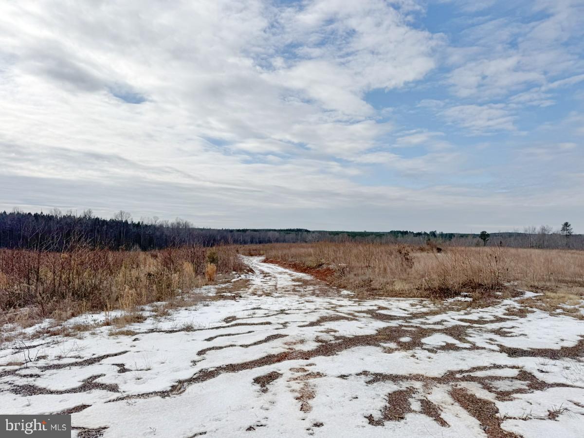 0 BENTON RD, TRIPLET, Virginia 23868, ,Farm,For Sale,0 BENTON RD,VABW2000100 MLS # VABW2000100