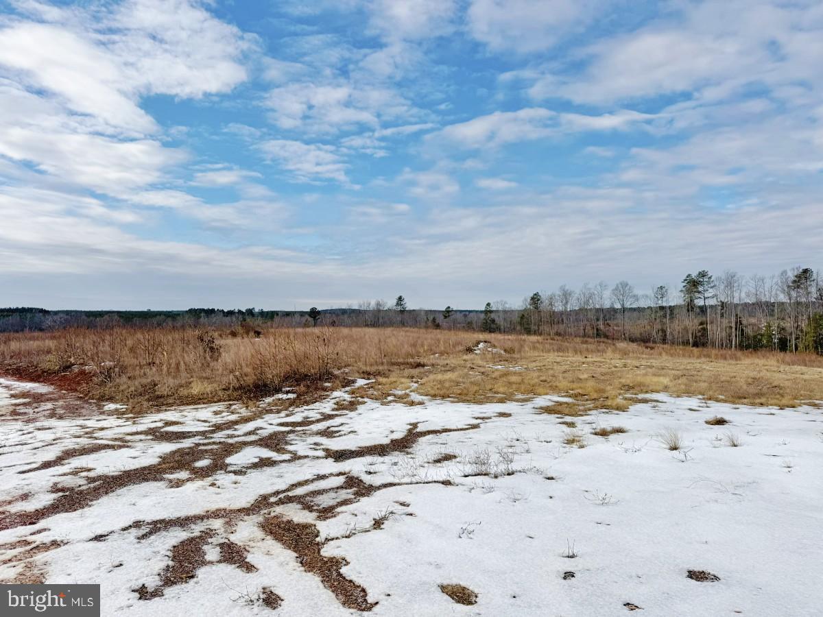 0 BENTON RD, TRIPLET, Virginia 23868, ,Farm,For Sale,0 BENTON RD,VABW2000100 MLS # VABW2000100