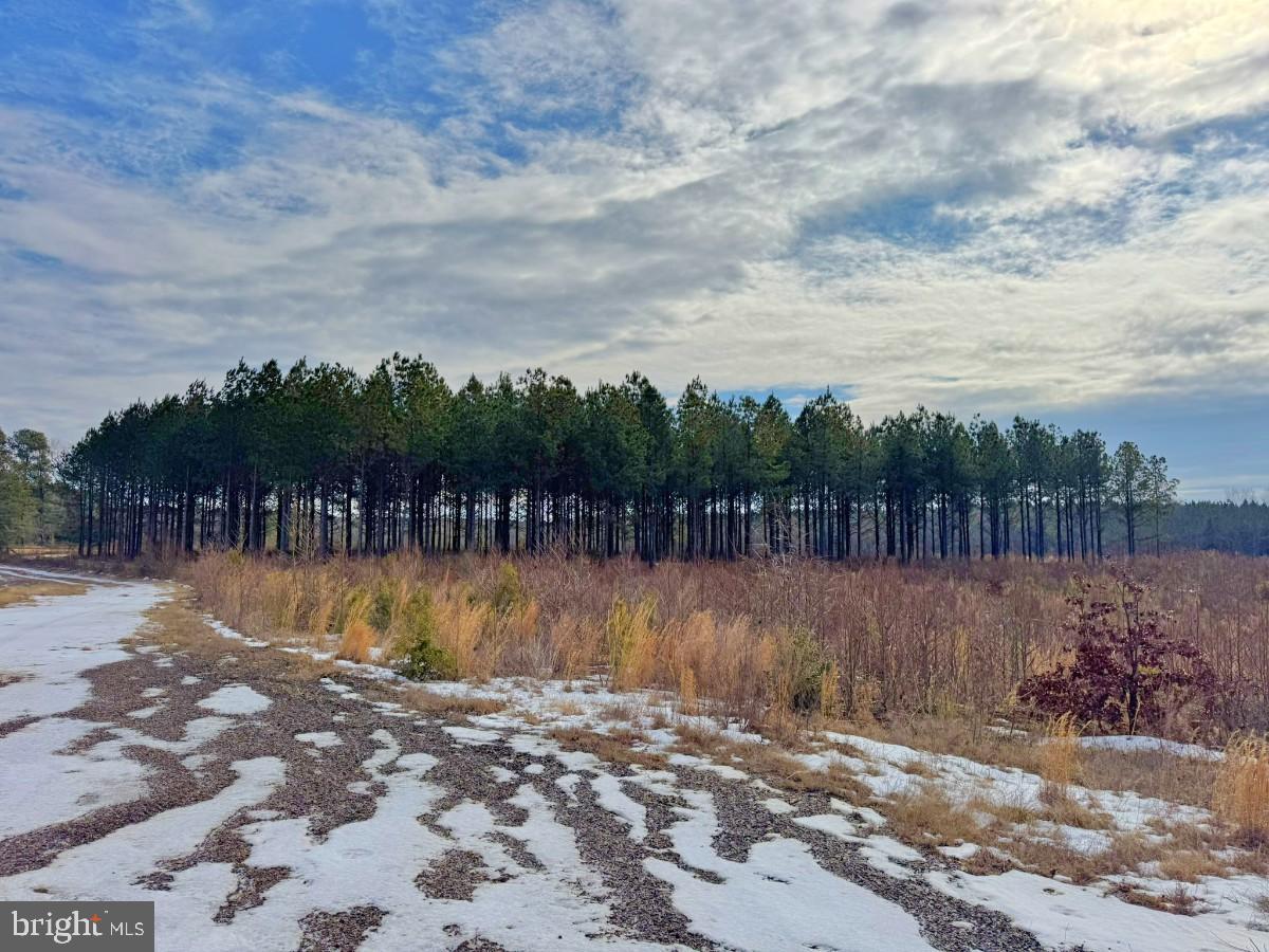 0 BENTON RD, TRIPLET, Virginia 23868, ,Farm,For Sale,0 BENTON RD,VABW2000100 MLS # VABW2000100