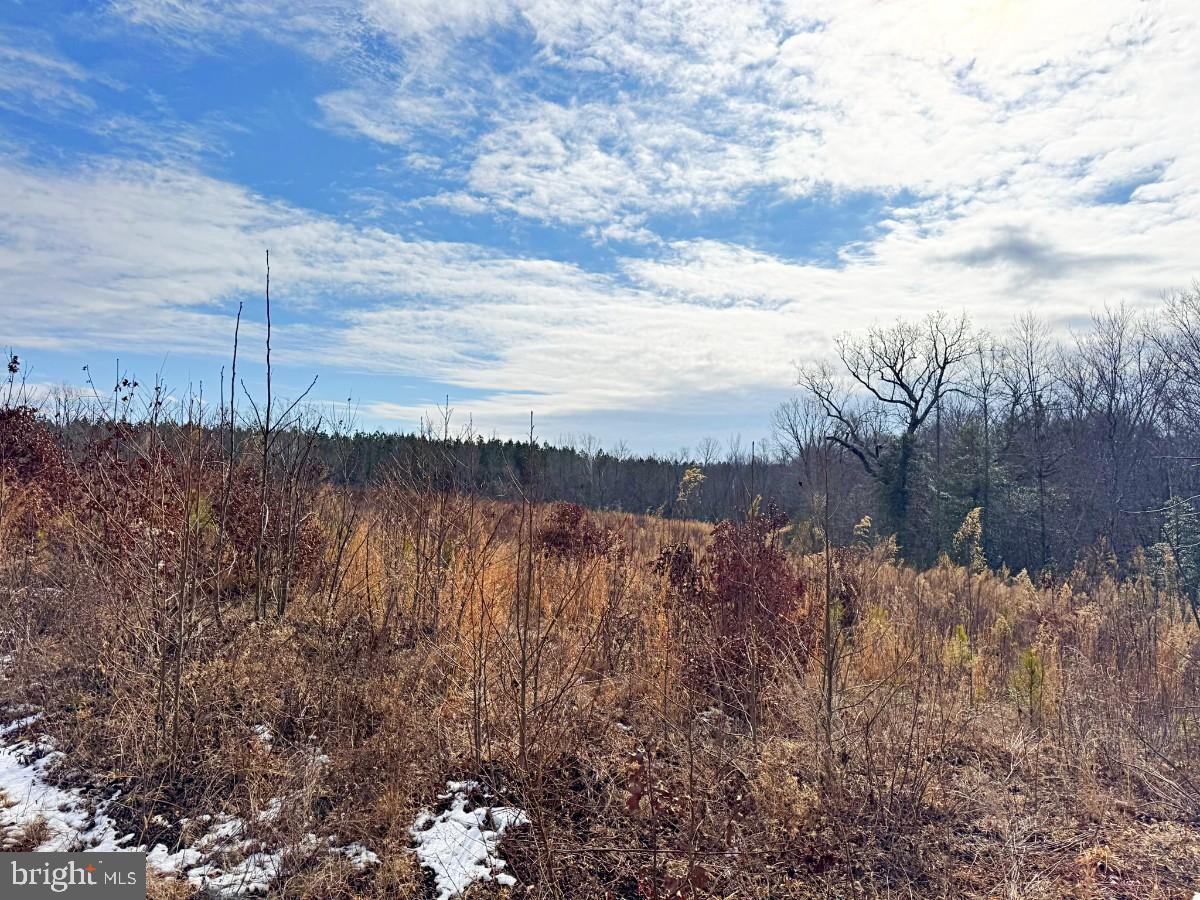 0 BENTON RD, TRIPLET, Virginia 23868, ,Farm,For Sale,0 BENTON RD,VABW2000100 MLS # VABW2000100