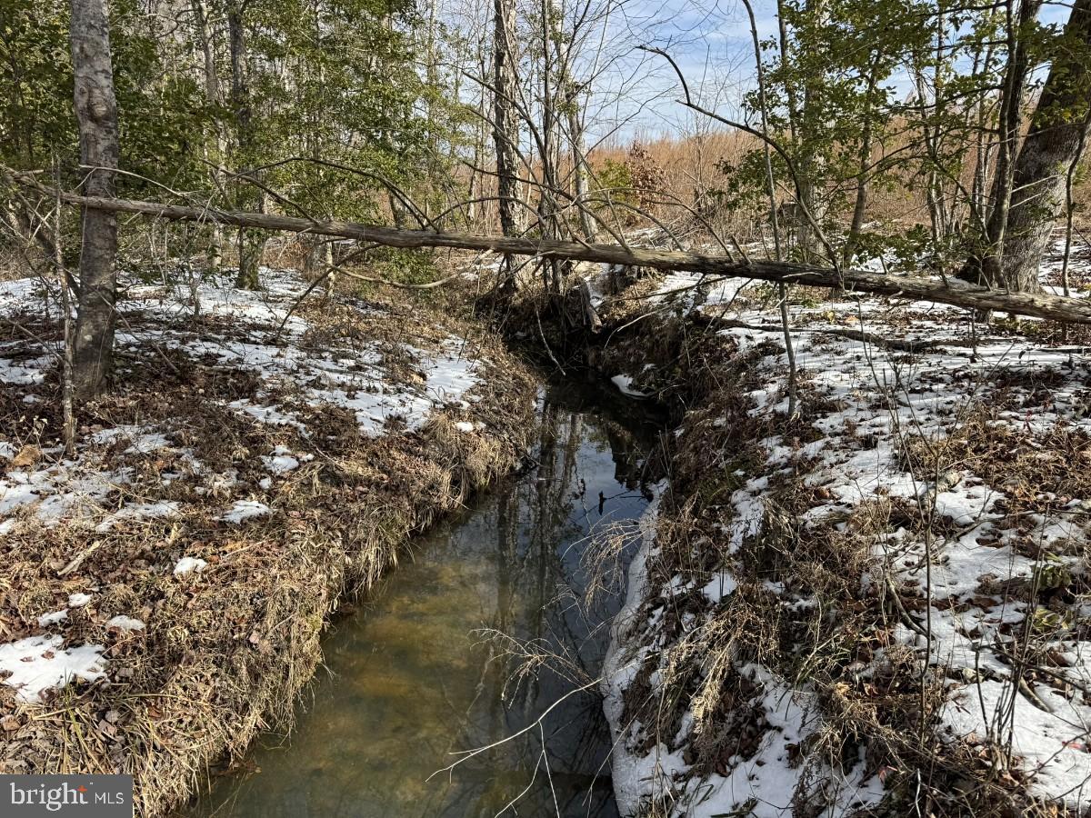 0 BENTON RD, TRIPLET, Virginia 23868, ,Farm,For Sale,0 BENTON RD,VABW2000100 MLS # VABW2000100