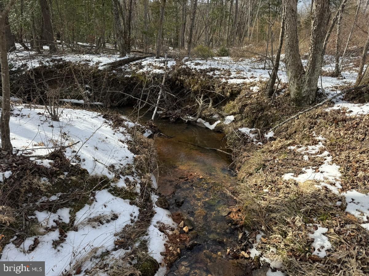 0 BENTON RD, TRIPLET, Virginia 23868, ,Farm,For Sale,0 BENTON RD,VABW2000100 MLS # VABW2000100