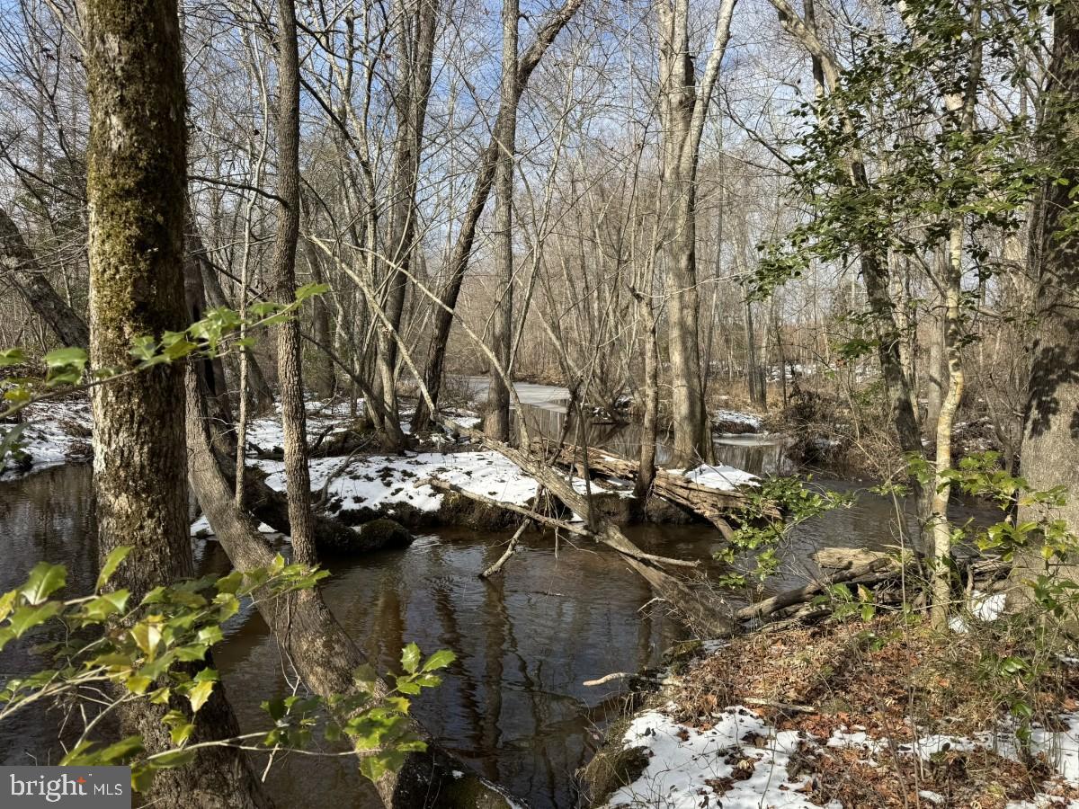 0 BENTON RD, TRIPLET, Virginia 23868, ,Farm,For Sale,0 BENTON RD,VABW2000100 MLS # VABW2000100