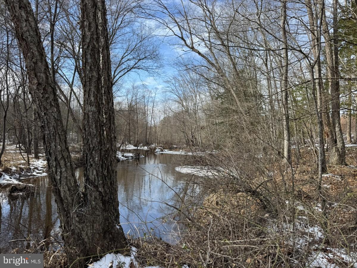 0 BENTON RD, TRIPLET, Virginia 23868, ,Farm,For Sale,0 BENTON RD,VABW2000100 MLS # VABW2000100