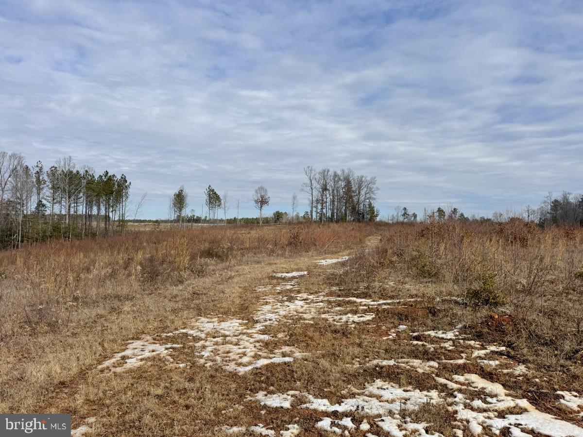 0 BENTON RD, TRIPLET, Virginia 23868, ,Farm,For Sale,0 BENTON RD,VABW2000100 MLS # VABW2000100