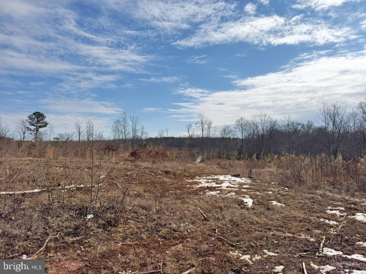 0 BENTON RD, TRIPLET, Virginia 23868, ,Farm,For Sale,0 BENTON RD,VABW2000100 MLS # VABW2000100