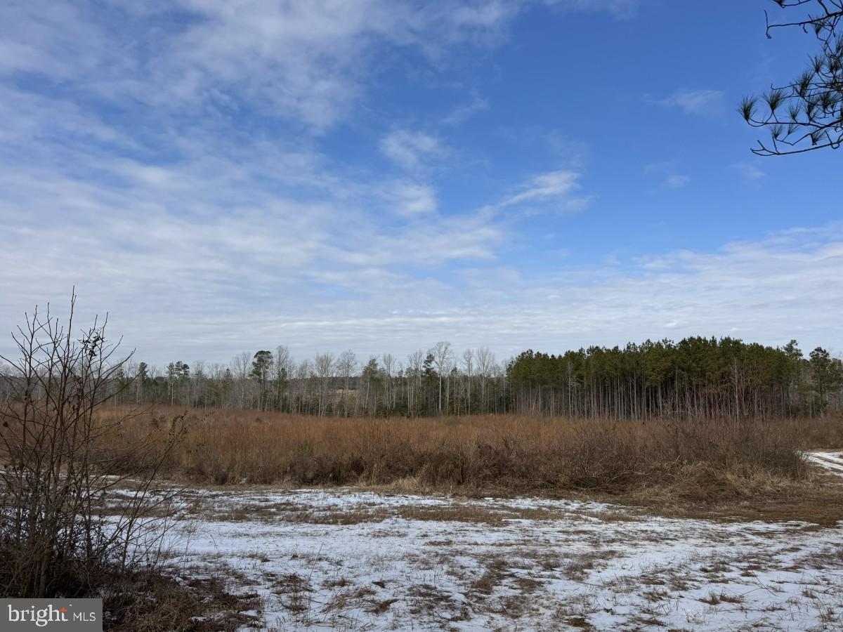 0 BENTON RD, TRIPLET, Virginia 23868, ,Farm,For Sale,0 BENTON RD,VABW2000100 MLS # VABW2000100