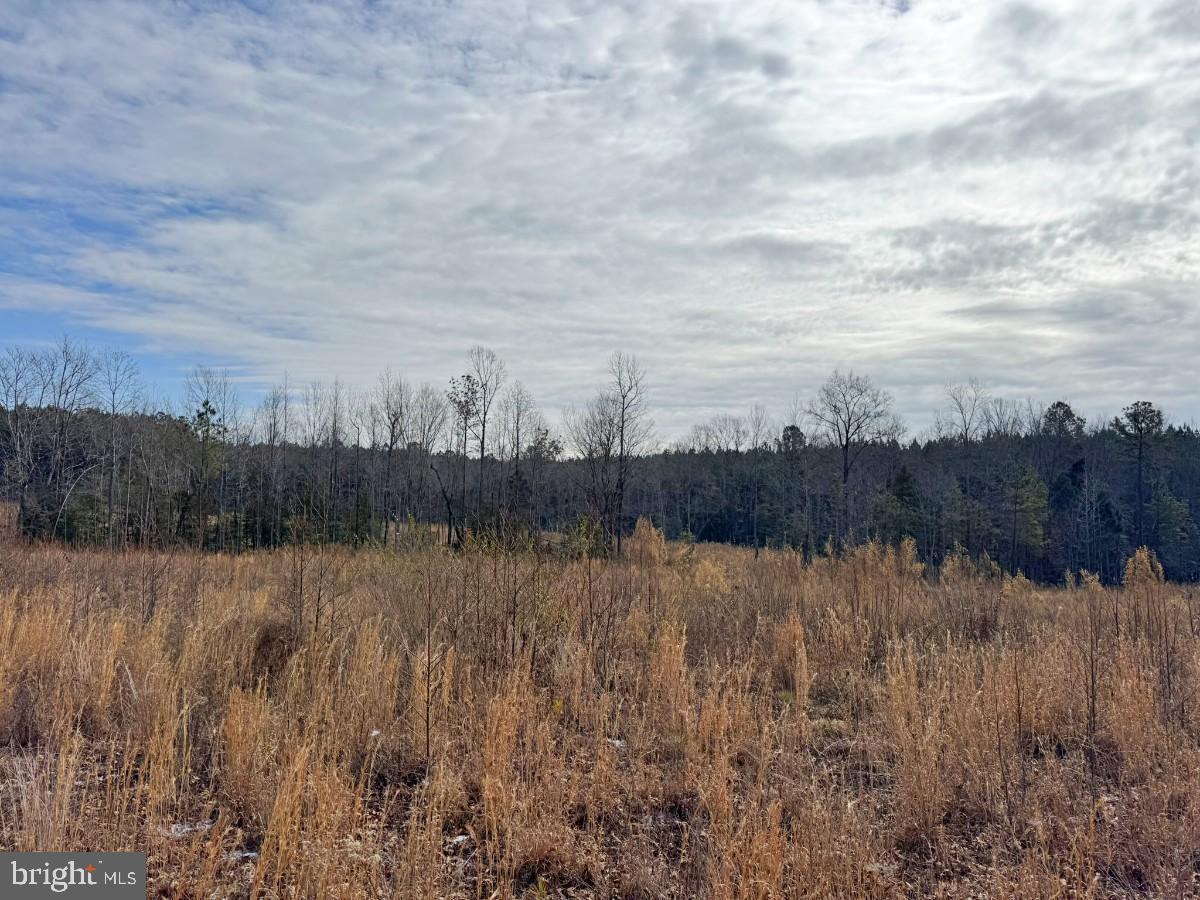 0 BENTON RD, TRIPLET, Virginia 23868, ,Farm,For Sale,0 BENTON RD,VABW2000100 MLS # VABW2000100